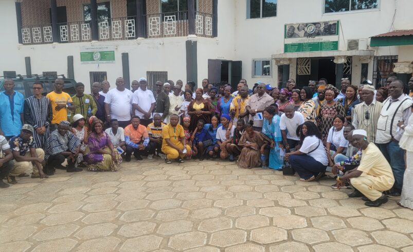 Regional Consultation on the Preferred Electoral System in Sierra Leone